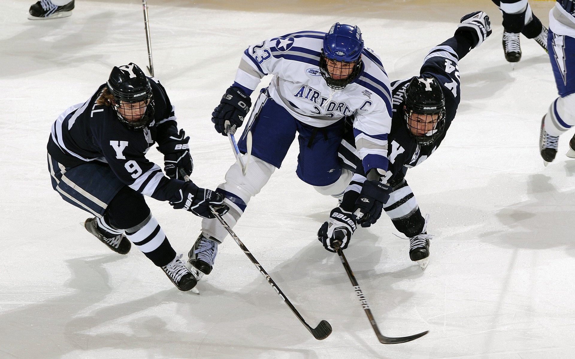 开云体育官网下载安装-瑞士马术协会授予皮乌斯·施维泽“年度最佳障碍赛骑手”称号。